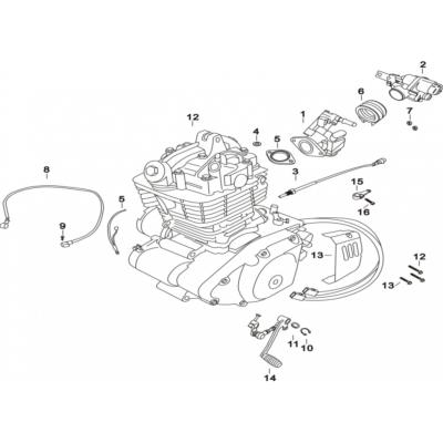 Composant moteur MASH DIRT TRACK 125