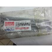 Rayon Interne YAMAHA DTR50