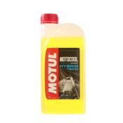 Antigel Motocool MOTUL Expert 